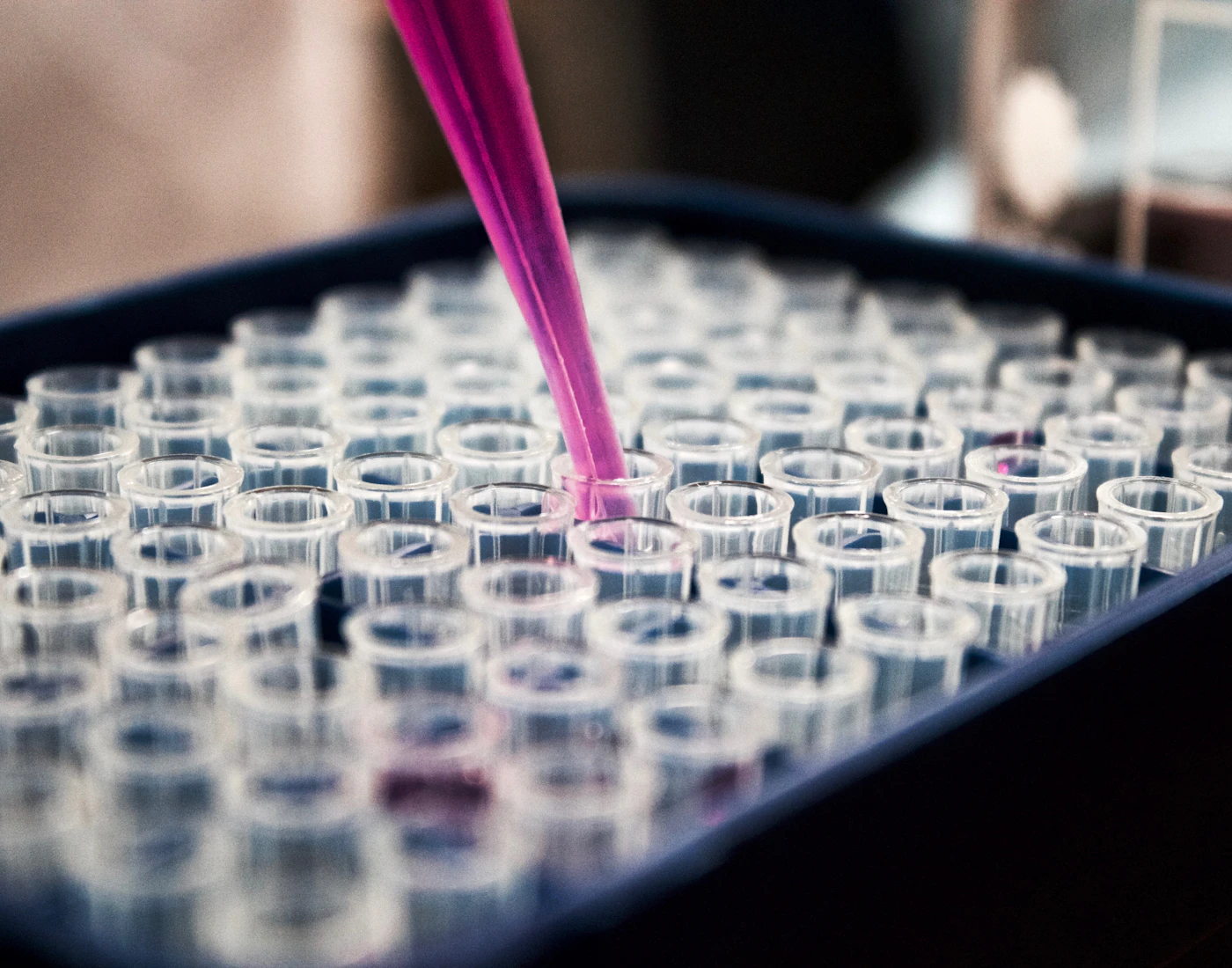 Formulation & sampling